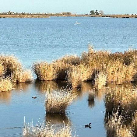 Cal Xot ξενώνας El Poble Nou del Delta Εξωτερικό φωτογραφία