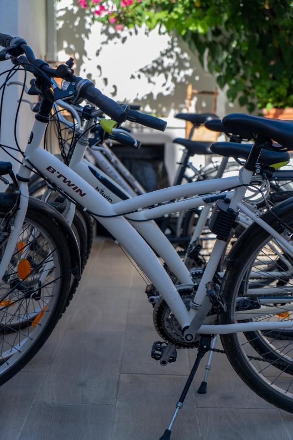 Cal Xot ξενώνας El Poble Nou del Delta Εξωτερικό φωτογραφία