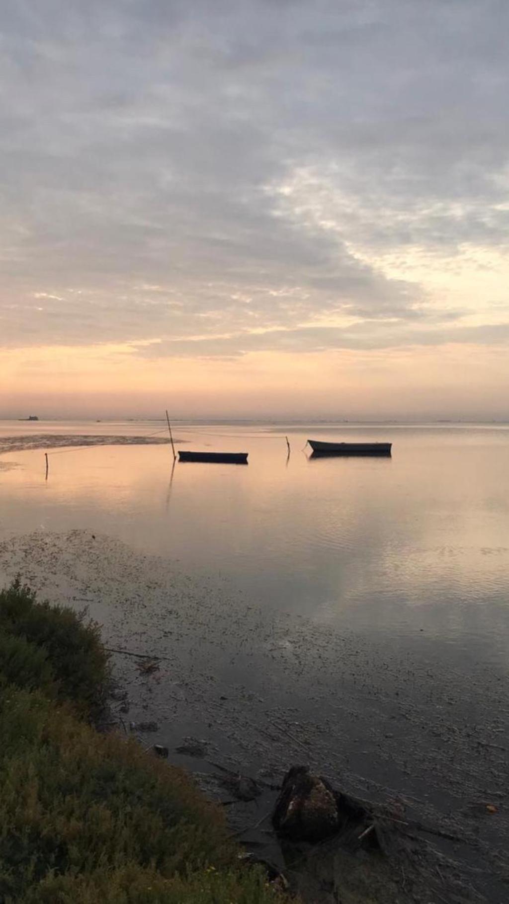Cal Xot ξενώνας El Poble Nou del Delta Εξωτερικό φωτογραφία
