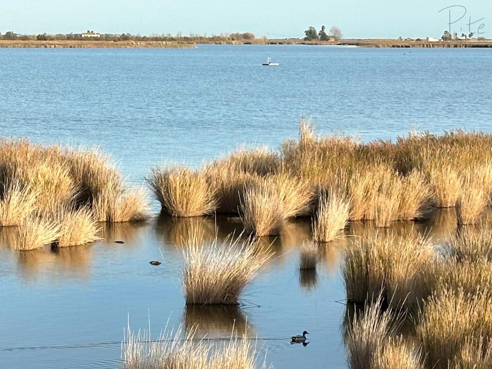 Cal Xot ξενώνας El Poble Nou del Delta Εξωτερικό φωτογραφία
